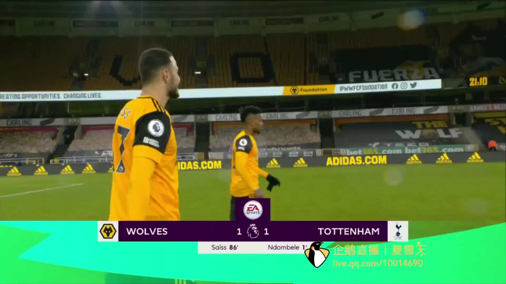 面对荷兰队 面对荷兰队